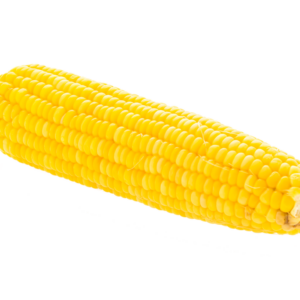 Corn on the cob