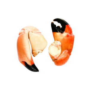 Stone Crab Claws